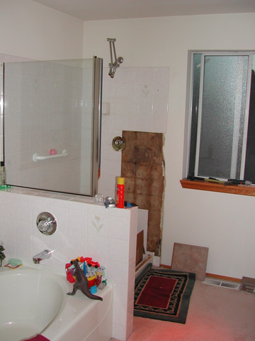 The shower, with the doors removed and some tile pulled