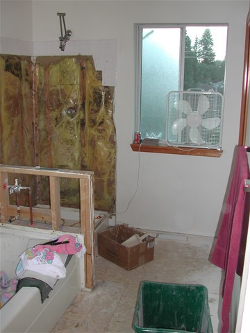 Dismantling halfwall between tub and shower, carpet removed